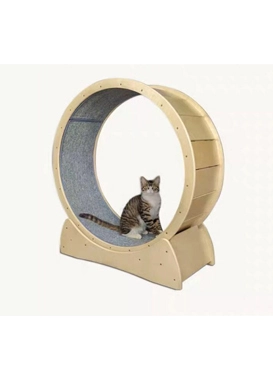 cat exercise wheel