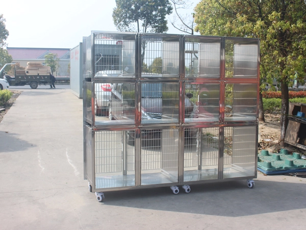 veterinary isolation cages